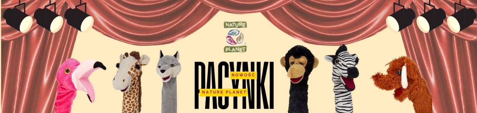 Pacynki