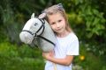 Konik na patyku Hobby Horse Siwek Premium