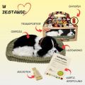 Zaadoptuj mnie Szczeniaczek oddychający Cocker Spaniel