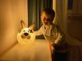 Lampka do pokoju dziecka piesek ZOO Cobo