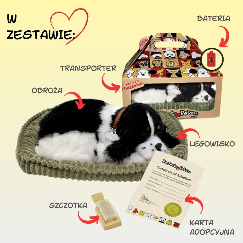 Zaadoptuj mnie Szczeniaczek oddychający Cocker Spaniel
