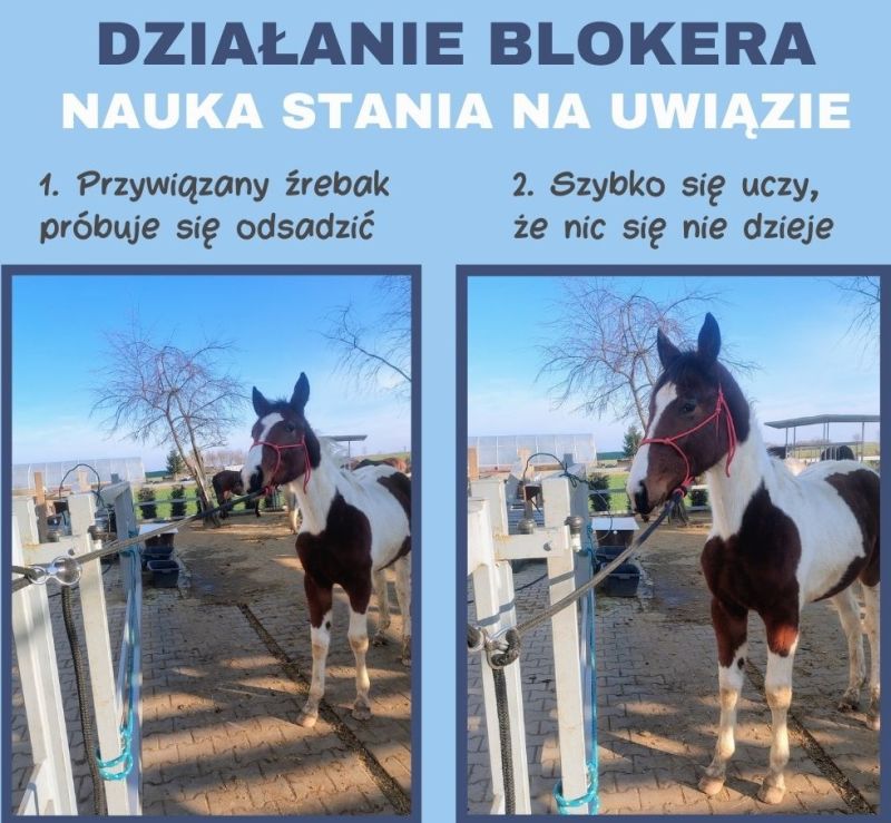 Bloker uwiązu